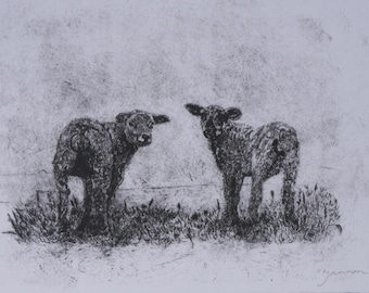 Limited Edition, Framed, Hand printed, Drypoint Etching, 'Curious Lambs in a storm II'