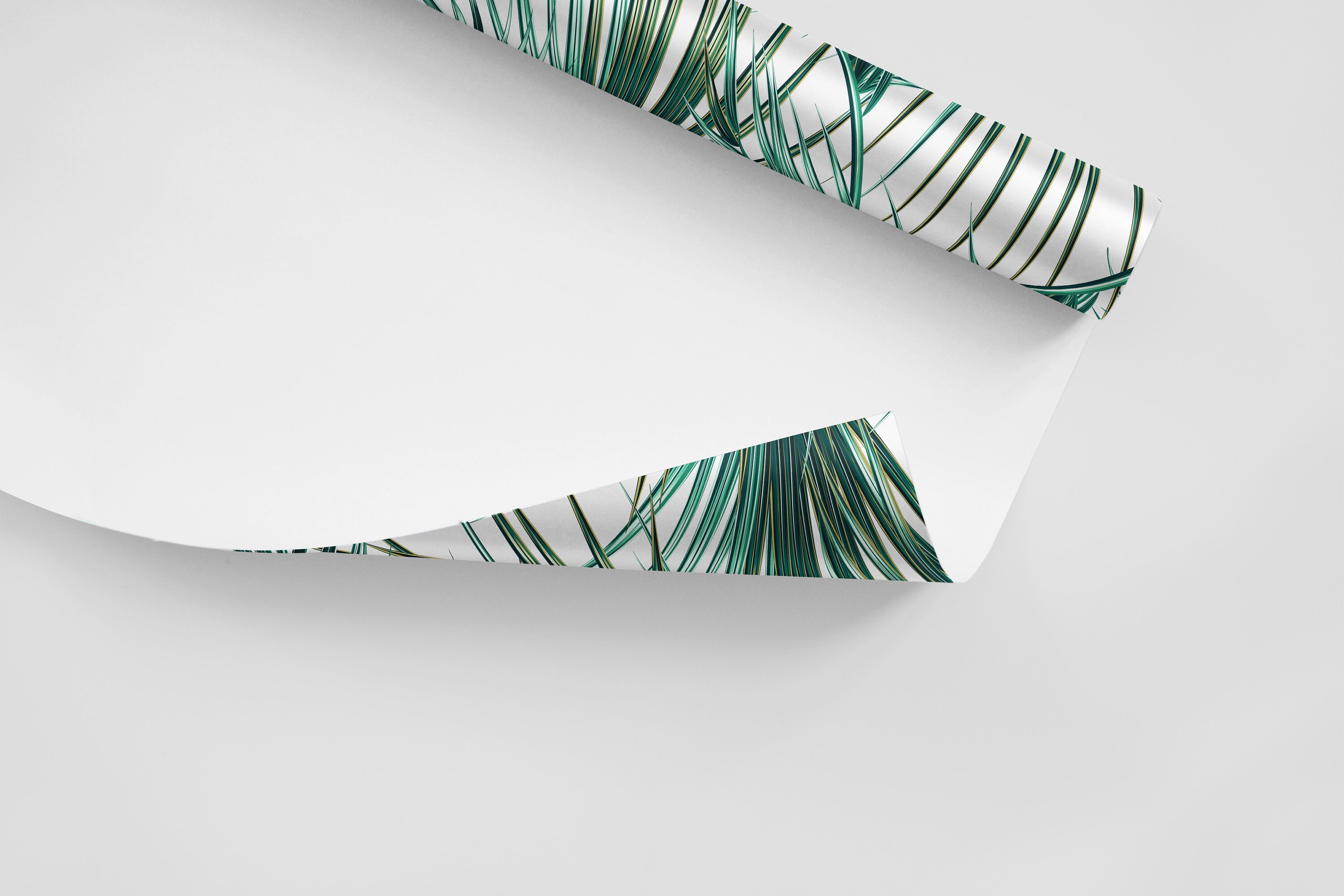 Palm Leaf Removable Wallpaper: Tropical Wall Mural - Etsy