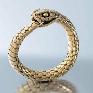 Massief gouden Ouroboros-slangring: 14k slangensieraden