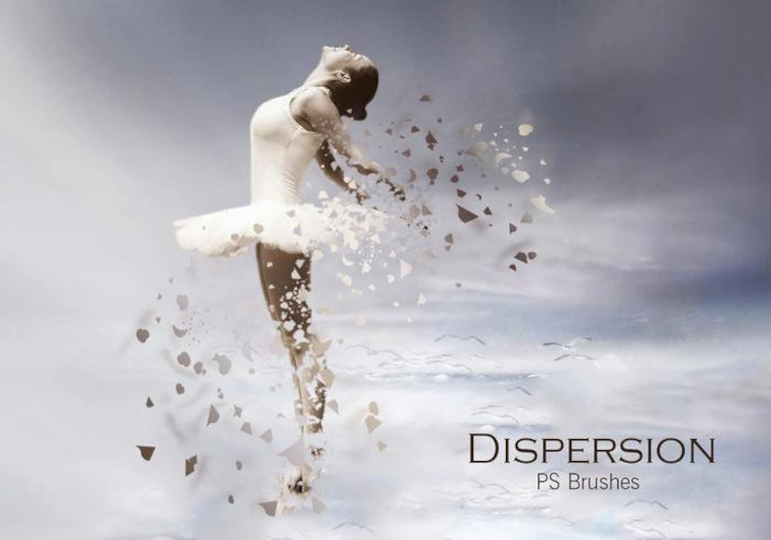 100 Dispersion Brushes for PS Brushes Etsy