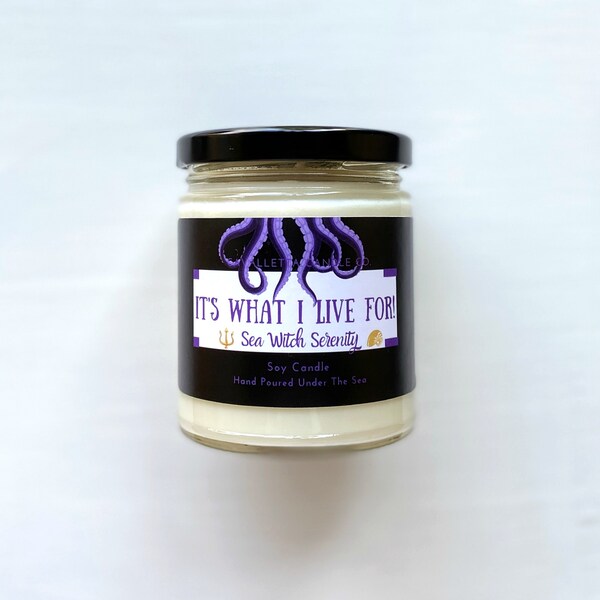 Sea Witch Candle - Villain Inspired Candle - Seaside Serenity Candle - Gemstone Candle - Soy Wax Candle - It's What I Live For