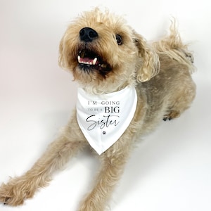 I'm going to be a Big SISTER printed Dog Neckerchief, Pregnancy Announcement Dog Neckerchief, Big Sister Dog to be, Baby Announcement Idea