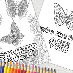 10 Adult Coloring Pages, Funny Rude Swear Words, Offensive Printable Colouring Book, Digital Download