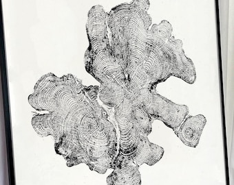 Yew Tree Ring Print: Black and White Textured Relief Art