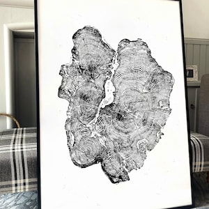 Tree Ring Print, Black and White Tree Ring Print, Large tree ring print, Tree Stump print, Huge Tree Ring Print, Yew Tree