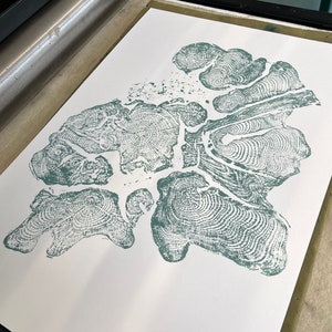 Yew Tree Ring Print: Large Blue Woodcut Art on Italian Paper