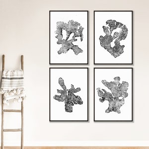 Olive Tree Ring Prints: Black & White Woodcut Art, Set of 4