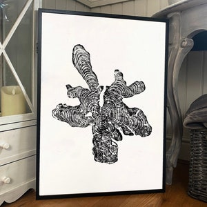 Olive Tree Ring Print: Large Woodcut Stump Art