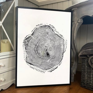 Large Larch Tree Ring Print: Black & White Wabi Sabi Art
