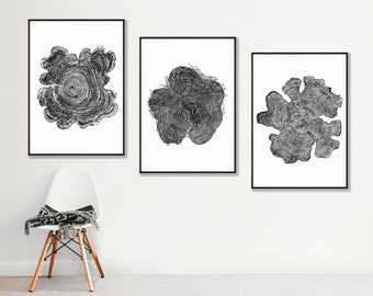 Ensemble de grands anneaux d&#39;arbre : triptyque cèdre, pomme, cyprès