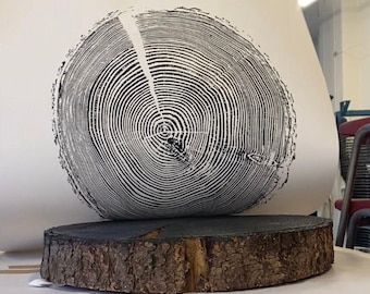 English Larch, Tree Ring Print, Black and White Tree Ring Print, Large tree ring print, Tree Stump print, Huge Tree Ring Print