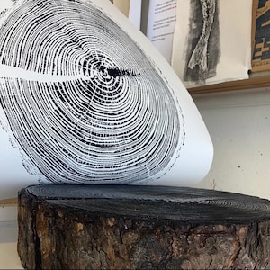 Tree ring print, Larch Tree, Larch tree ring print, Tree ring prints