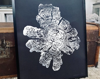 May include: A black and white framed print of a silver tree ring pattern. The print is on a black background and the tree ring pattern is in a silver color.