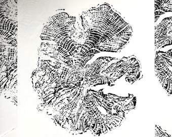 Lebanon Cedar Tree Ring Lino Print: Black & White Woodcut Art