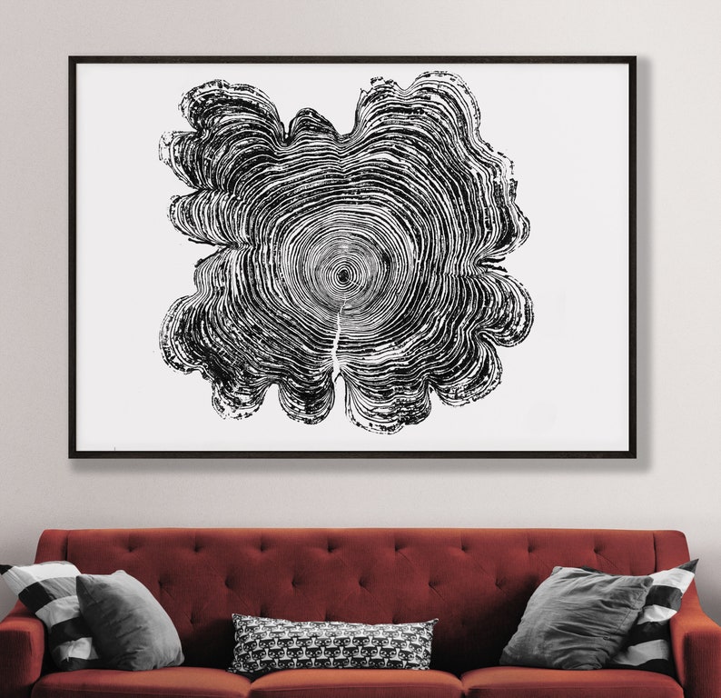 Western Red Cedar, Tree Ring Print, Black and White Tree Ring Print, Large tree ring print, Tree Stump print, Huge Tree Ring Print image 5