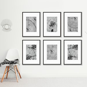 May include: Six black framed prints of abstract black and white circular patterns, arranged in two rows of three on a white wall.