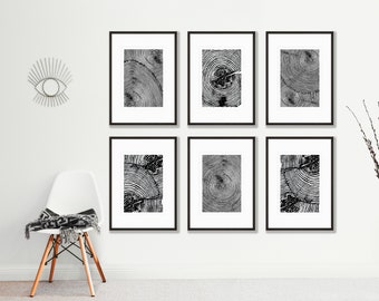 Tree Ring Print Set, Set of 6, Black and White Tree Print, Wood Poster, English Larch Trees - A3 230gsm Matt Paper