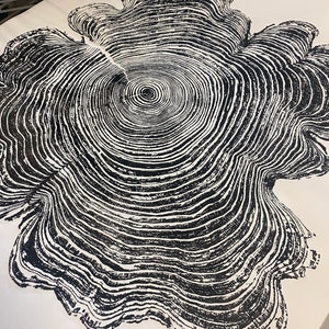 Western Red Cedar, Tree Ring Print, Black and White Tree Ring Print, Large tree ring print, Tree Stump print, Huge Tree Ring Print image 10