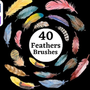 40 Feathers Brush Preset Photoshop and Procreate Feathers Brushes (Designer Collections)