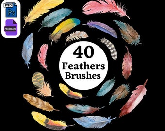 40 Feathers Brush Preset Photoshop and Procreate Feathers Brushes (Designer Collections)