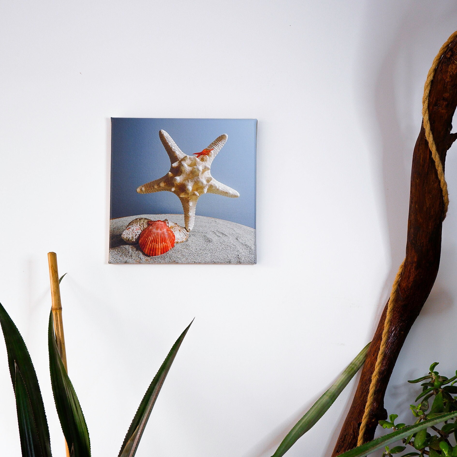 Tableau Toile de Lin Photographie Balancing Art Étoile Des Mers, Un Tableau Écologique et Eco-Respon