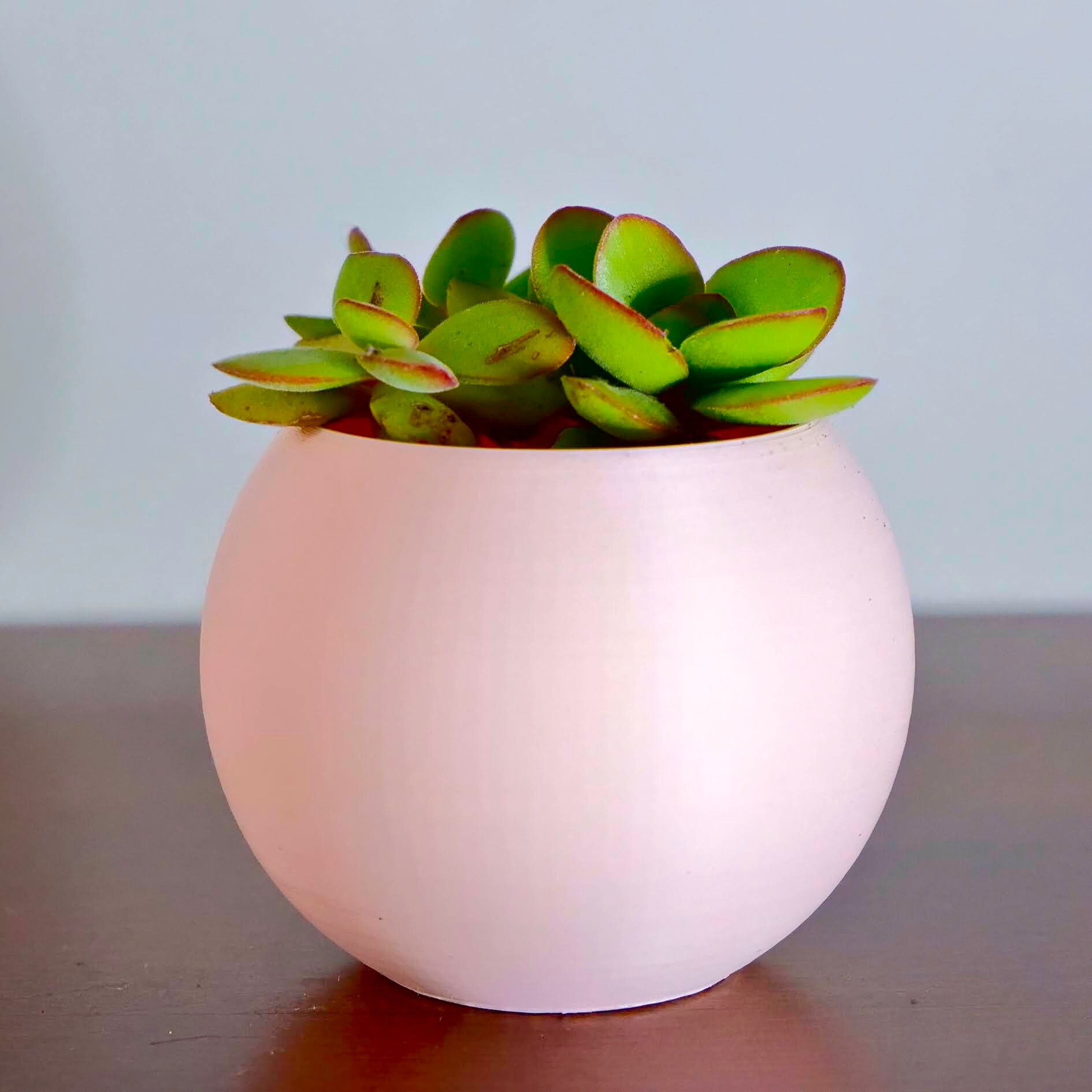 Le Bubble Pot - Imprimé en 3D ou Cache Pot Plantes, Pla Biosourcé et Recyclable, Pour Un Projet Écol