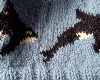 Sombrero de orca - ¡Orcas de Orkney!