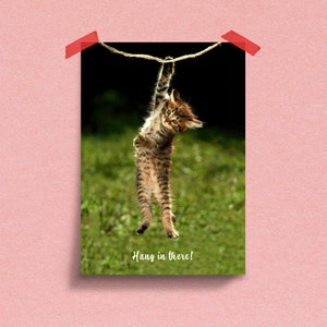 Hang in There Kätzchen Poster | Inspirierende Tiermotive für das Wohndesign #140