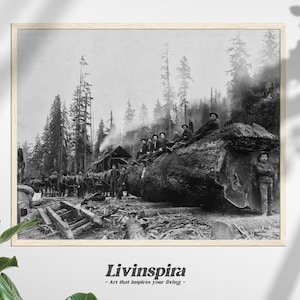 Black n white photo Logging Image | Historic Forest Logging Wall Poster | Vintage Workers and Horse Historic Photography – Framed Poster #21