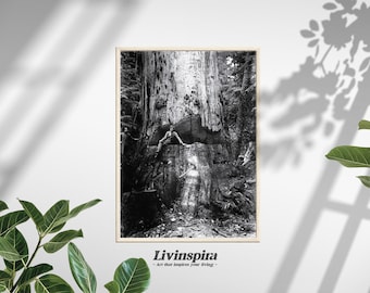 Historic Logging Image, Vintage Lumberjack Scene, Rustic Wall Decor, Wood Logging Old Photo, Logger's Legacy Walldecor – Framed Print #28