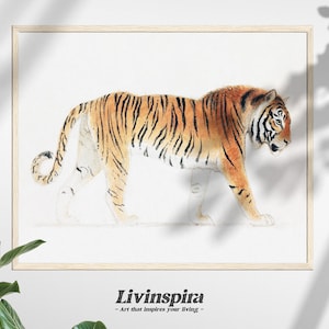 Wildlife Tiger Print | Striking Tiger Poster for Modern Interior | Perfect Wall Print for Animal Lovers - Framed Print #95