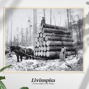 May include: A black and white photograph of a horse-drawn wagon carrying a large stack of logs in a snowy forest. The logs are stacked in a pyramid shape, and there are two people standing near the wagon.