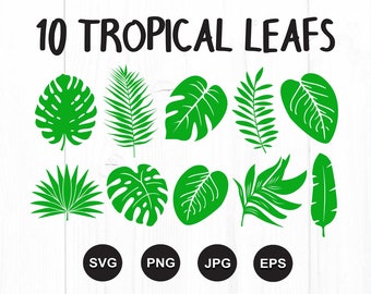 Download Tropical Leaves Etsy