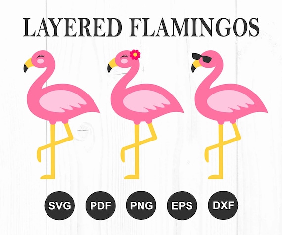 Flamingo Svg, Flamingo Clipart, Summer Svg, Tropical Svg, Vacation Svg, Flamingo Sunglasses Svg, Cut Files For Cricut, Silhouette, Png, Dxf