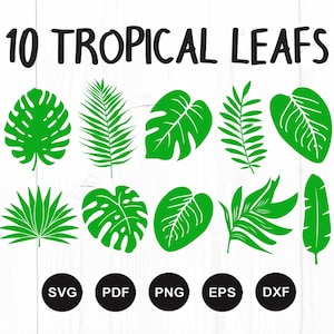 Paquete de hojas tropicales, hoja tropical svg, hojas de palma svg, rama de palma svg, hojas de la selva svg, monstera svg, tropical svg, decoración de fiesta