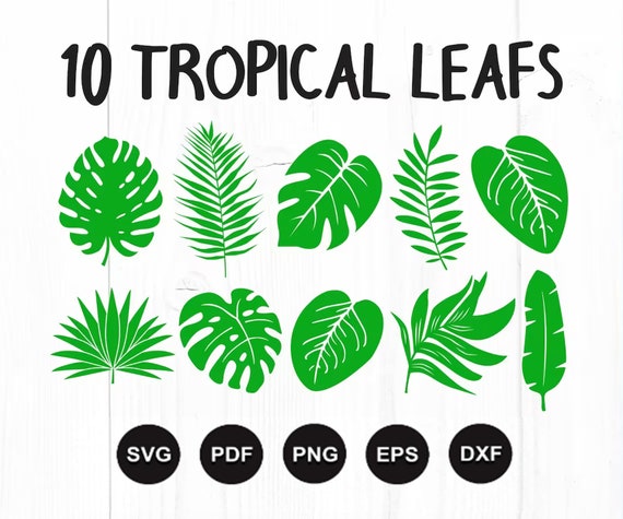 Tropical Leaves Svg Bundle Tropical Leaf Svg Palm Leaves - Etsy