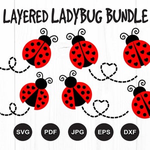 Ladybug SVG, Bug SVG