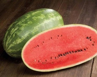 Tigro MELONE 5 Semi