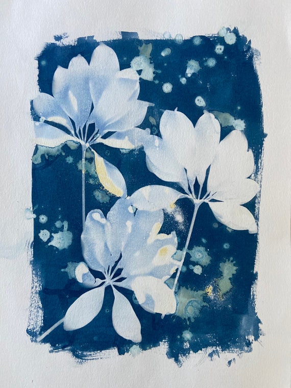 Seasonal Flowers Original handmade Cyanotype