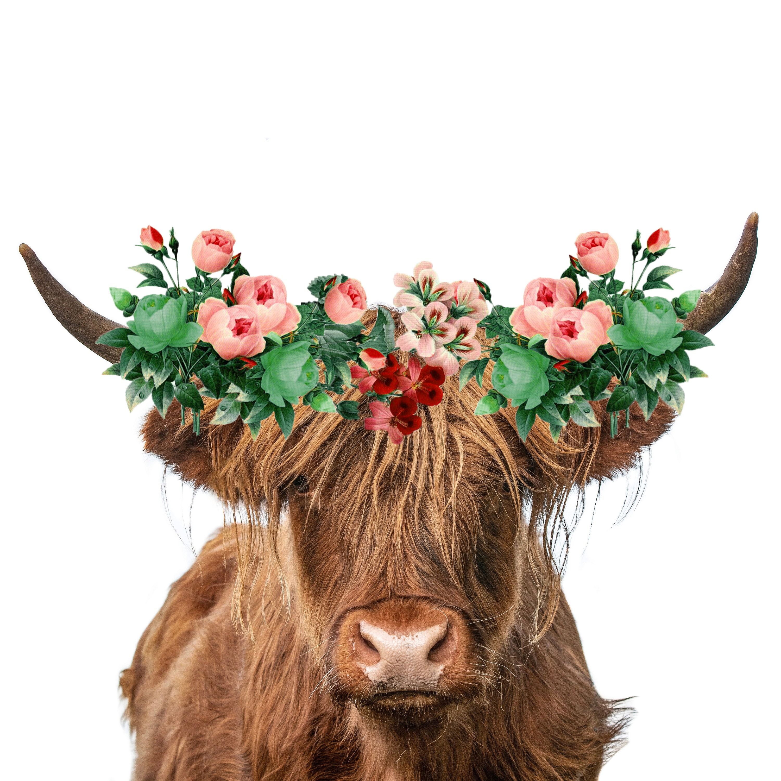 Highland Cow with Flower Hat - Set of 3 Amazon.com: Burbell 2 Pcs Highland Cow Figurines Daisy  main image 3