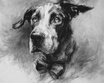Retrato de mascota personalizado, dibujo a carboncillo, obra de arte original dibujada a mano