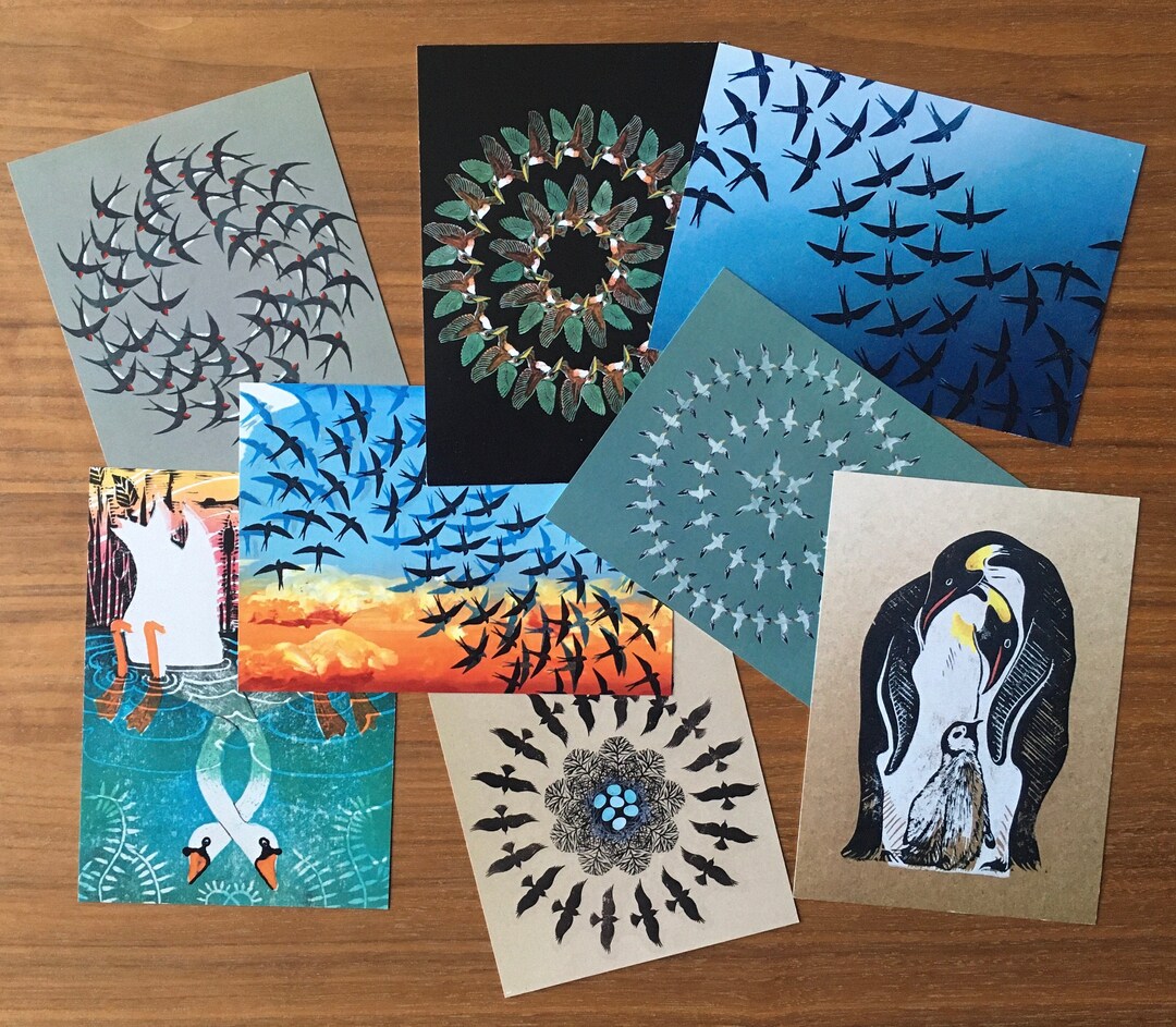 Bird Lovers Postcard Pack. Set of 8 Assorted Ornithology Design ...