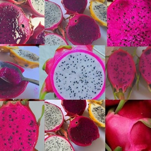 Puede incluir: Un collage de im&aacute;genes que muestran diferentes variedades de fruta de drag&oacute;n, incluyendo fruta de drag&oacute;n de pulpa roja y de pulpa blanca. La fruta se corta para revelar la pulpa y las semillas.