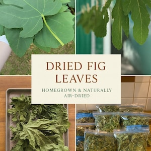 Dried Fig Leaves | Organic, Pesticide-Free | Spiritual Uses, Herbal Tea, Homeopathic Remedies | Wildcrafted in California