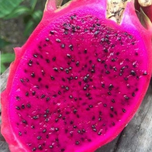 Puede incluir: Un fruto del drag&oacute;n de color rosa vibrante cortado por la mitad, revelando una pulpa rosa brillante con numerosas semillas negras.