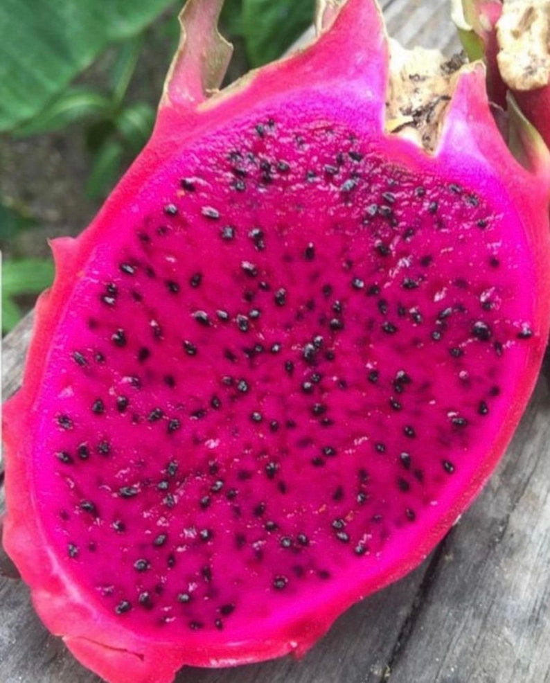 Puede incluir: Un fruto del drag&oacute;n de color rosa vibrante cortado por la mitad, revelando una pulpa rosa brillante con numerosas semillas negras.