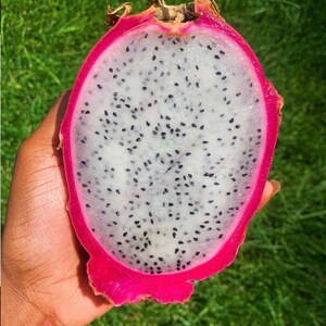 Puede incluir: Un fruto de drag&oacute;n cortado por la mitad, con pulpa blanca y semillas negras. El fruto es rosado por fuera y tiene un fondo verde.