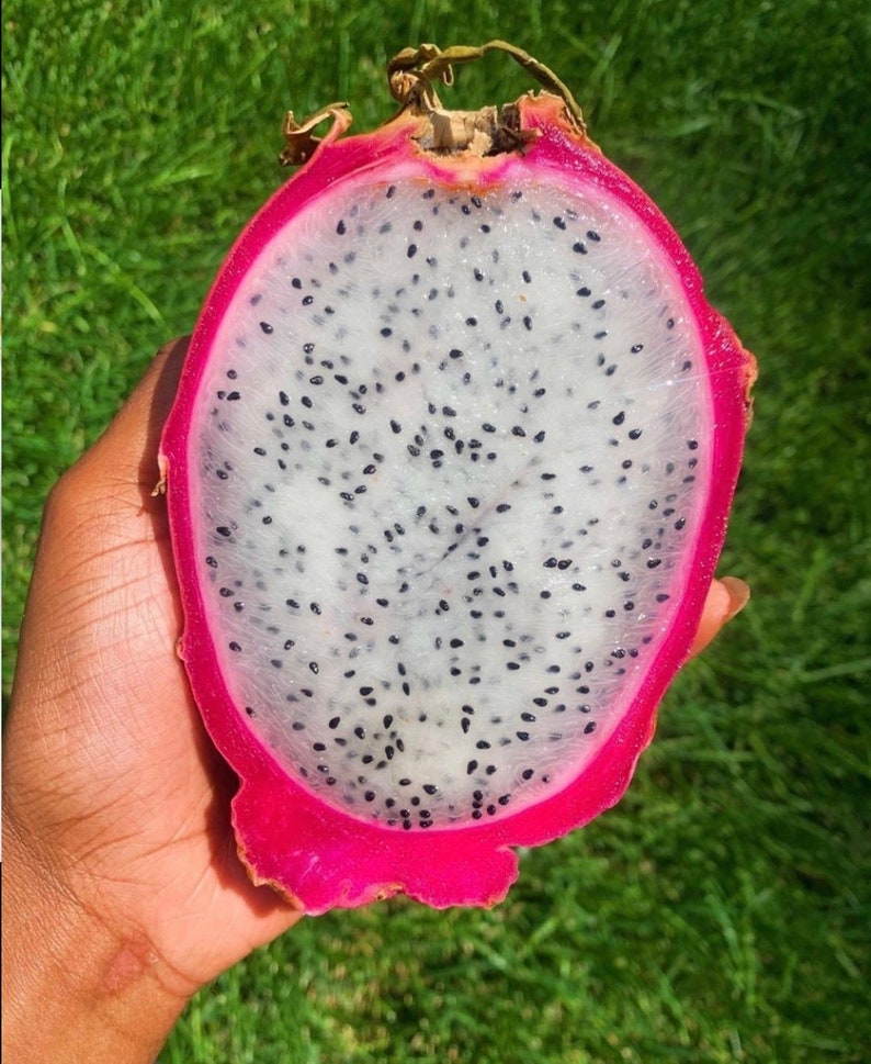 Puede incluir: Un fruto de drag&oacute;n cortado por la mitad, con pulpa blanca y semillas negras. El fruto es rosado por fuera y tiene un fondo verde.