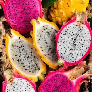 Puede incluir: Primer plano de una variedad de fruta de drag&oacute;n, incluyendo variedades rosa, blanca y amarilla. La fruta est&aacute; cortada, revelando la pulpa blanca y las semillas negras.