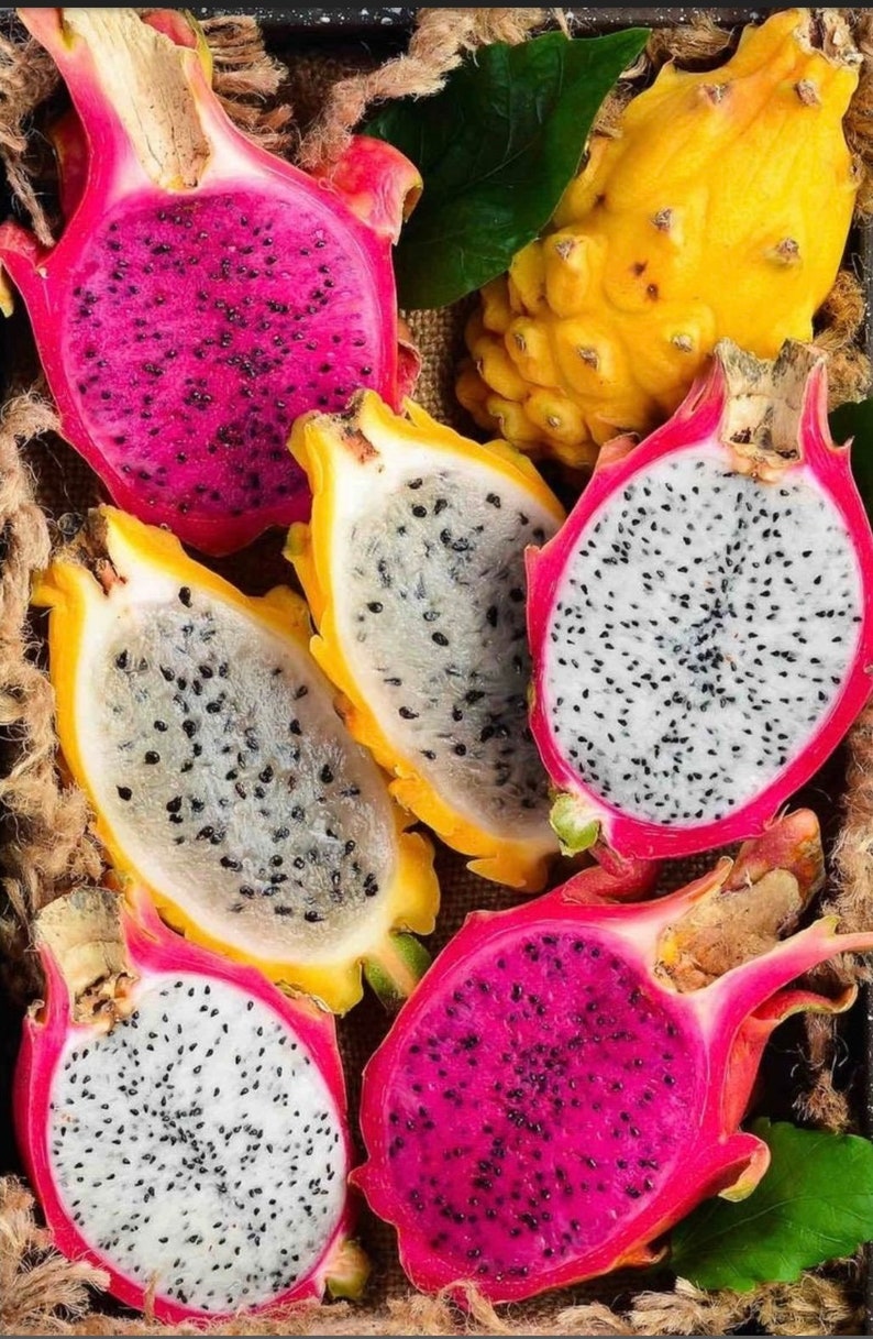 Puede incluir: Primer plano de una variedad de fruta de drag&oacute;n, incluyendo variedades rosa, blanca y amarilla. La fruta est&aacute; cortada, revelando la pulpa blanca y las semillas negras.